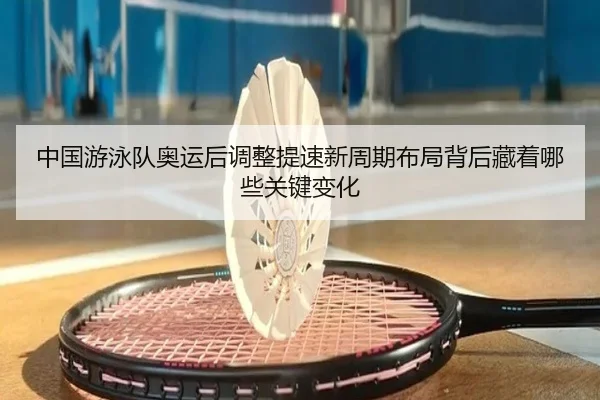 中国游泳队奥运后调整提速新周期布局背后藏着哪些关键变化